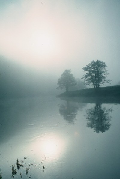 Image: Autumn Mist