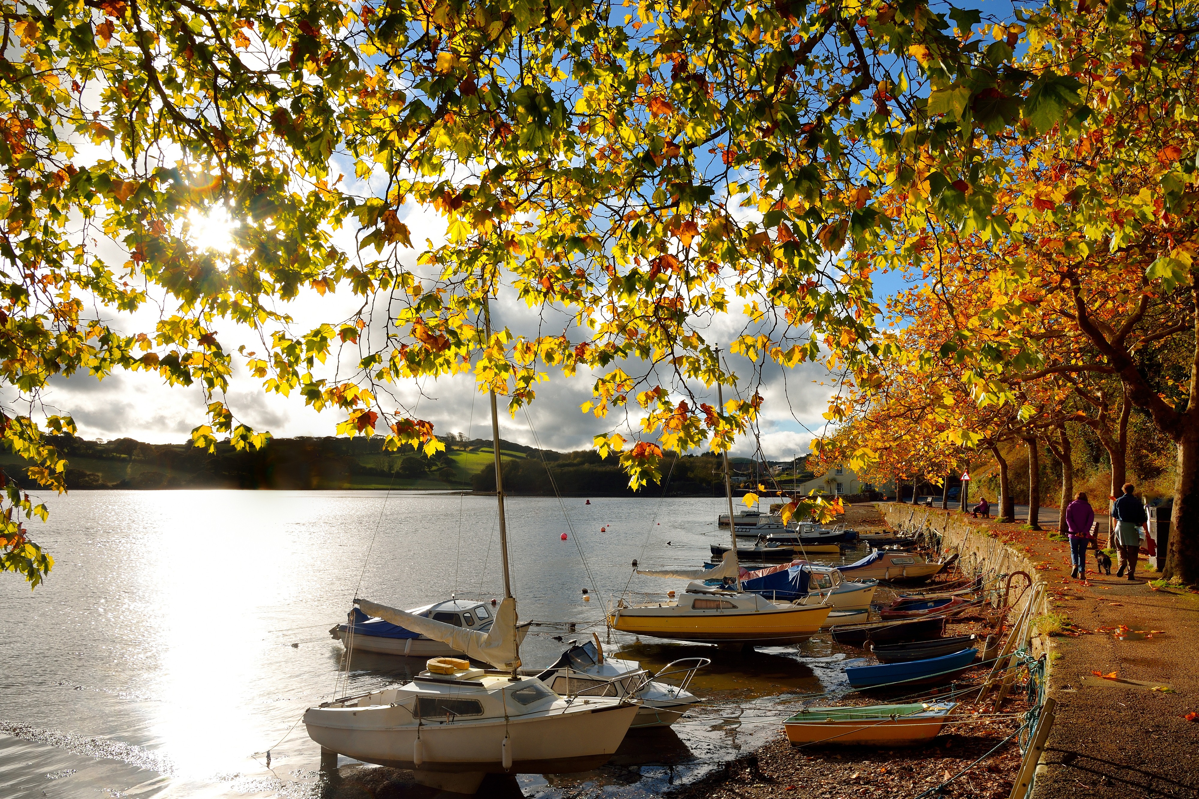 Image: Autumn at Sunny Corner