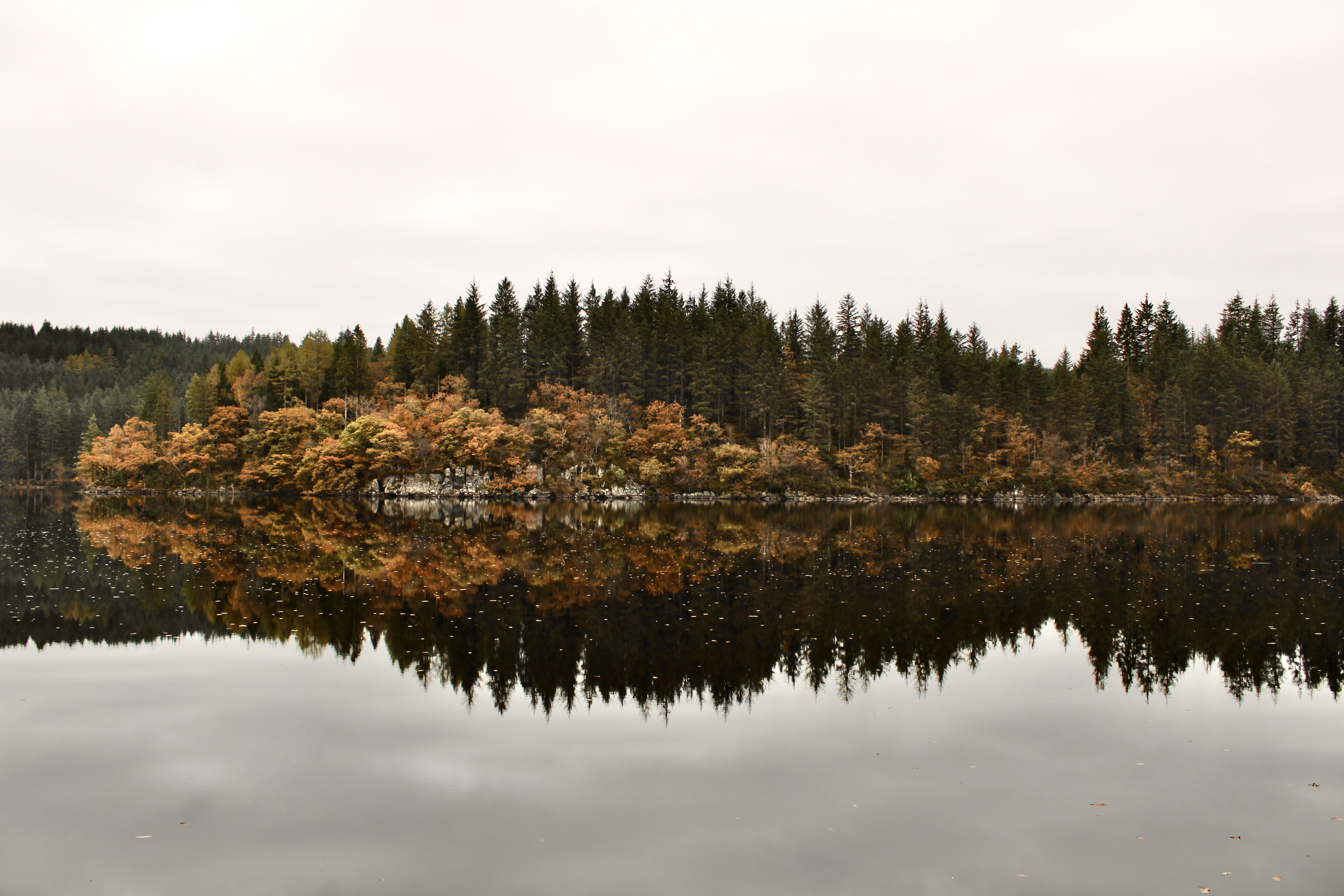 Image: Autumn in The Highlands 