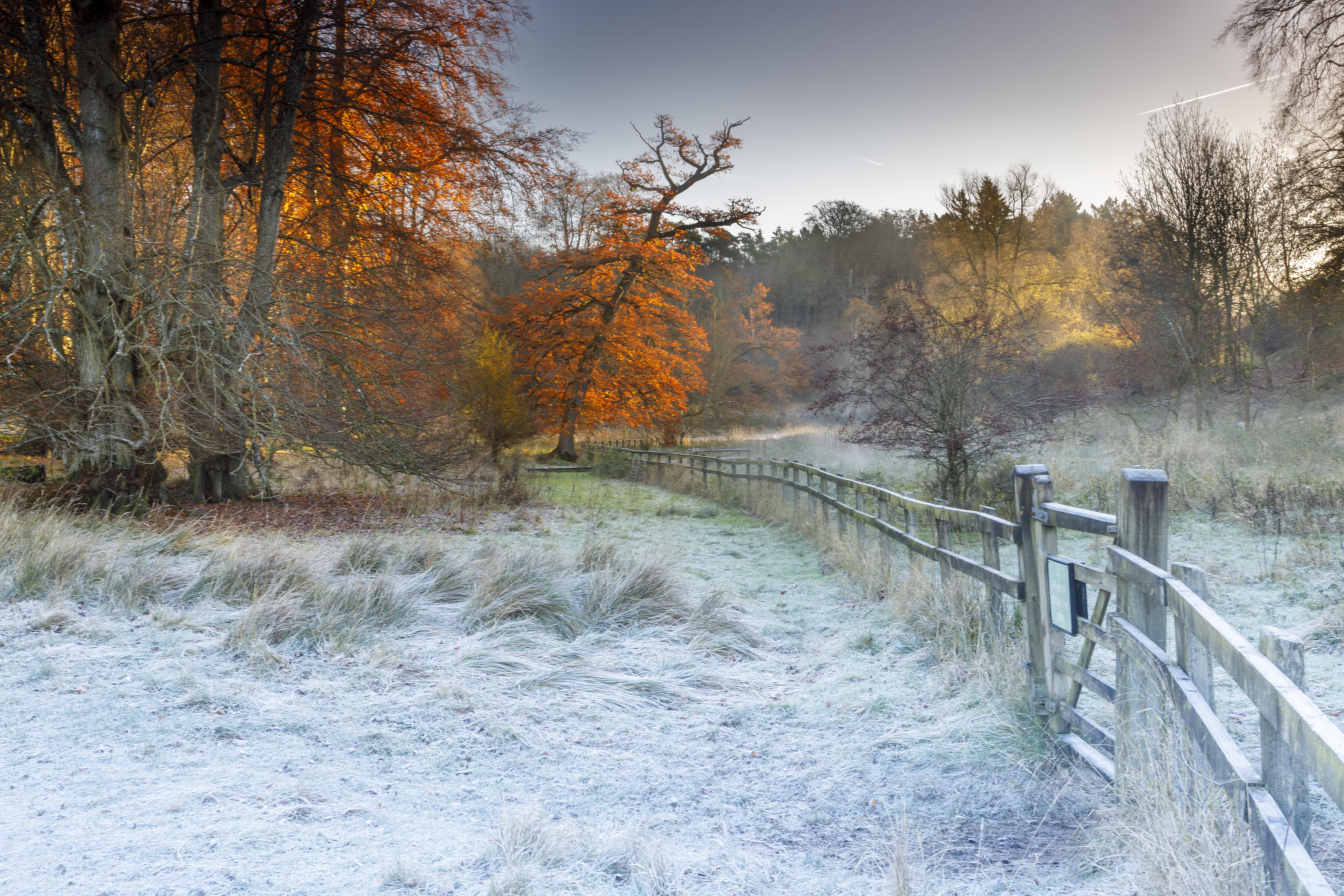 Image: Autumn will not yeald to winter