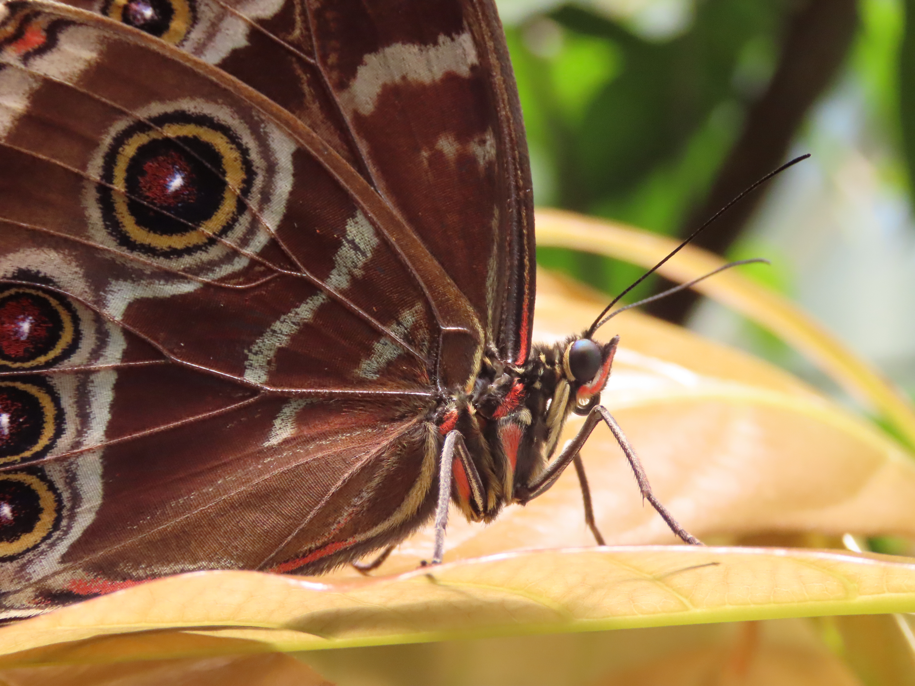 Image: Beauty in the Small Things