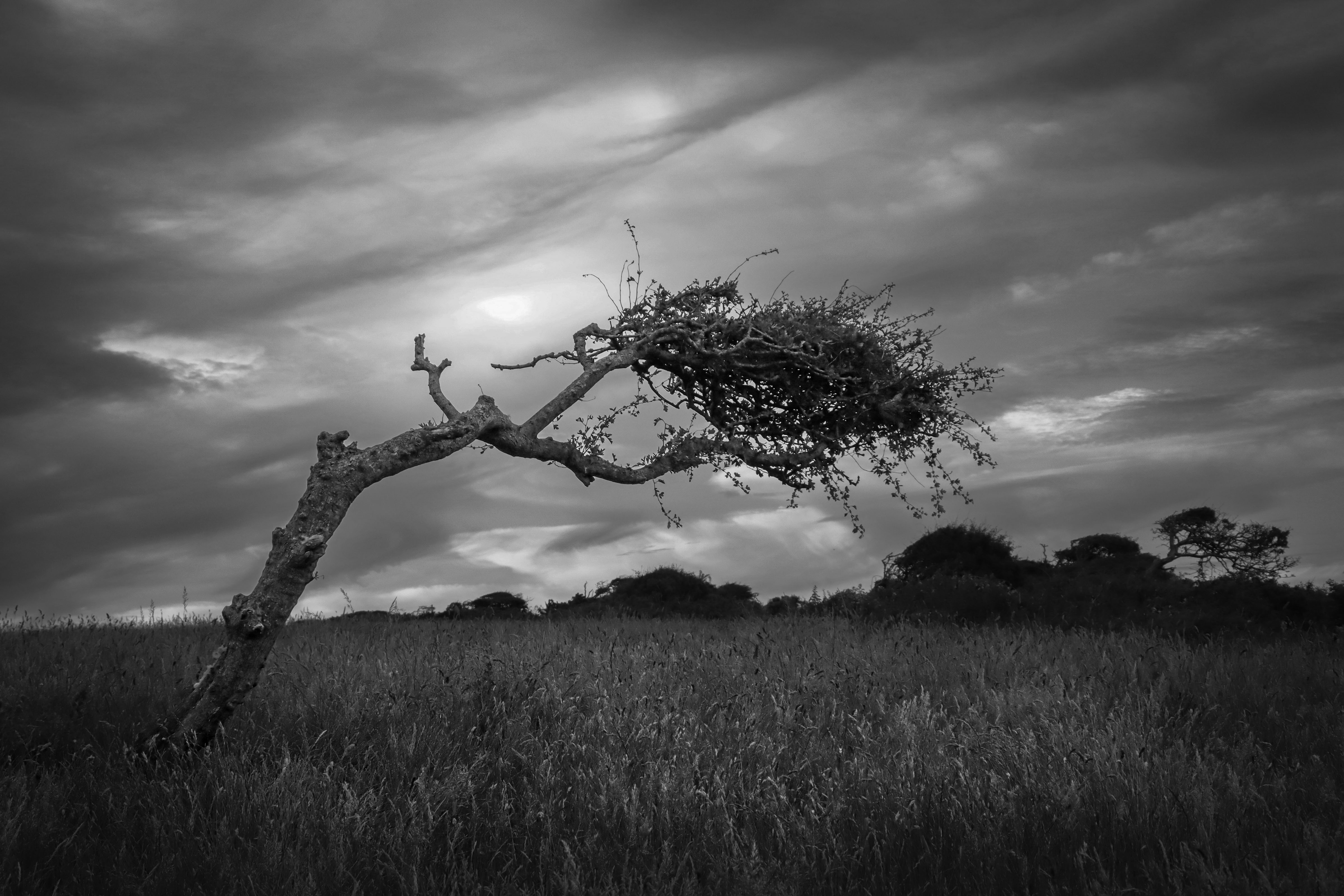 Image: Bent, Not Broken