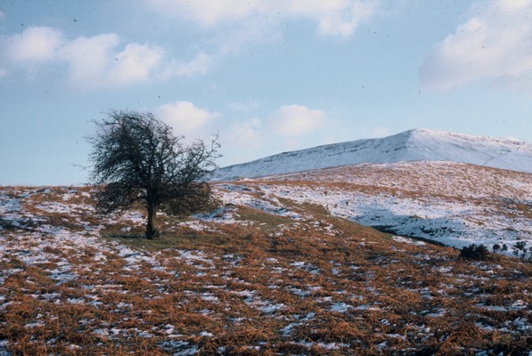 Image: Black Mountain Scene