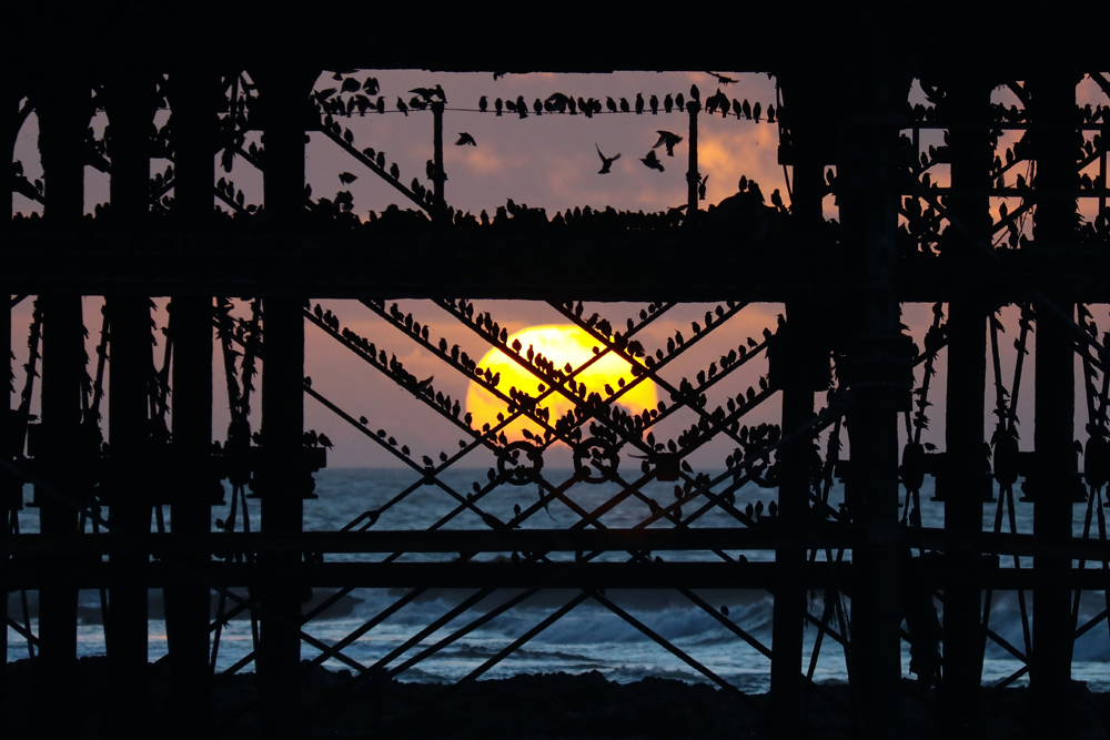Image: Iron perches