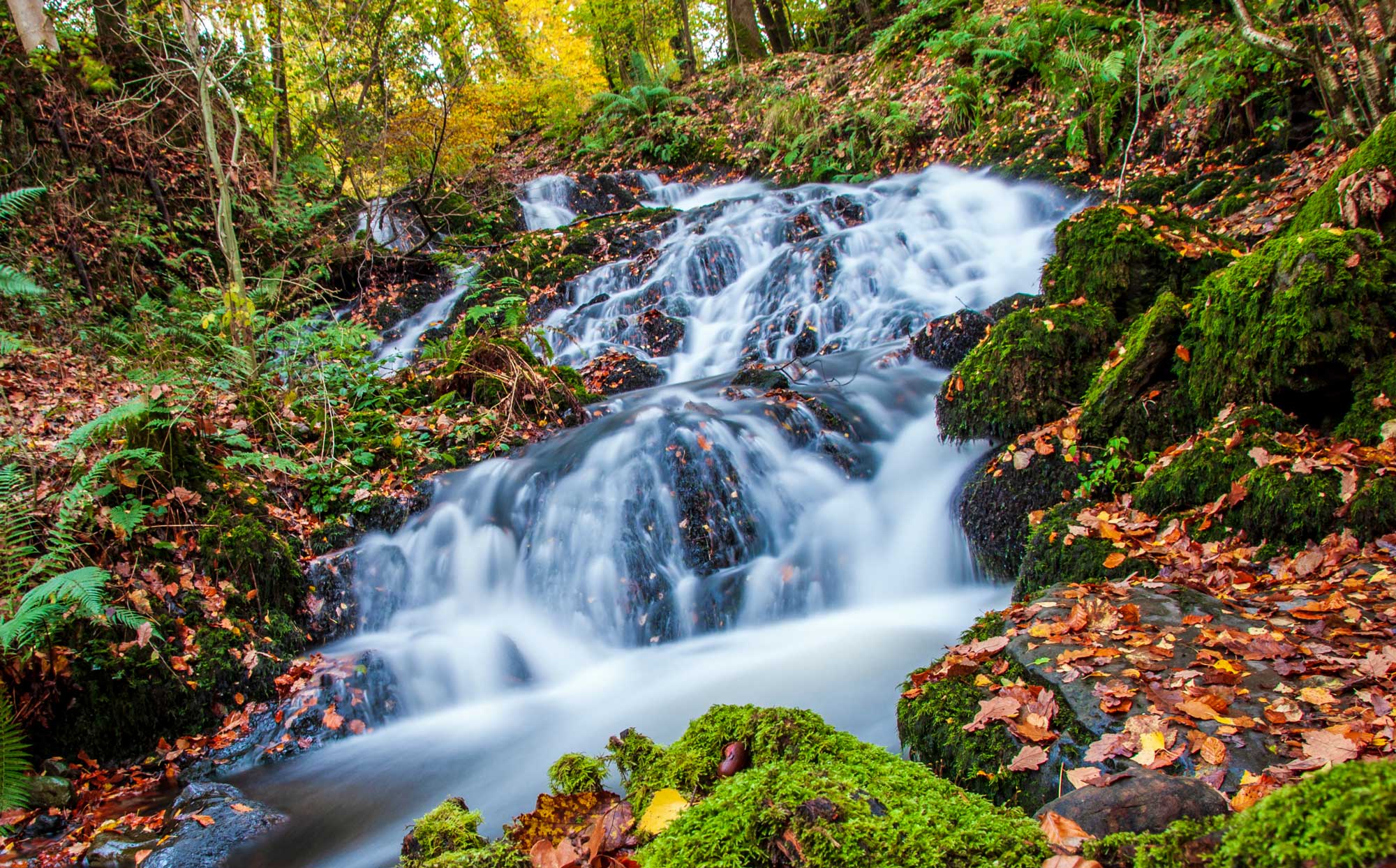 Image: Milky Waterfall