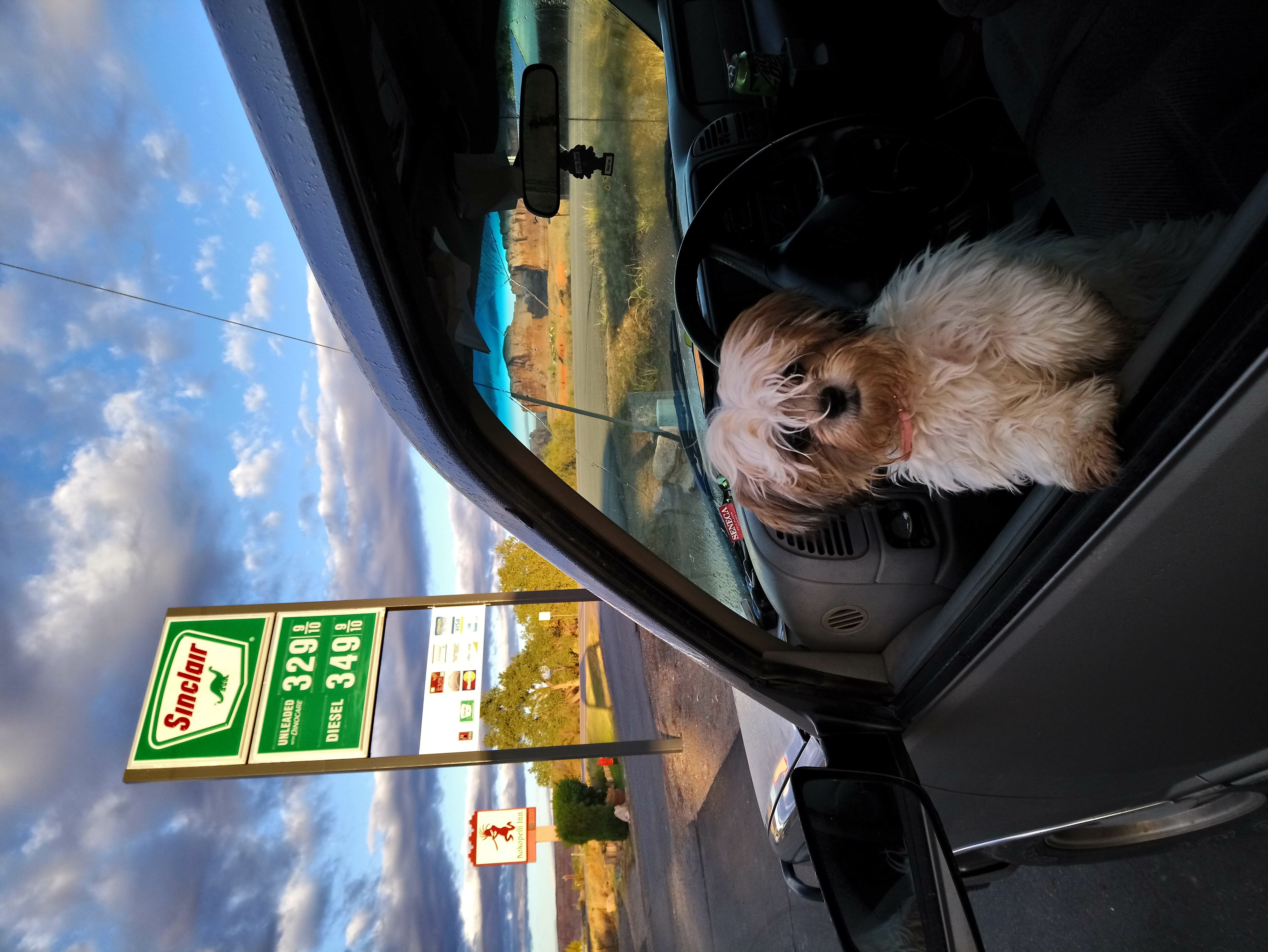 Image: Road Trip Ready
