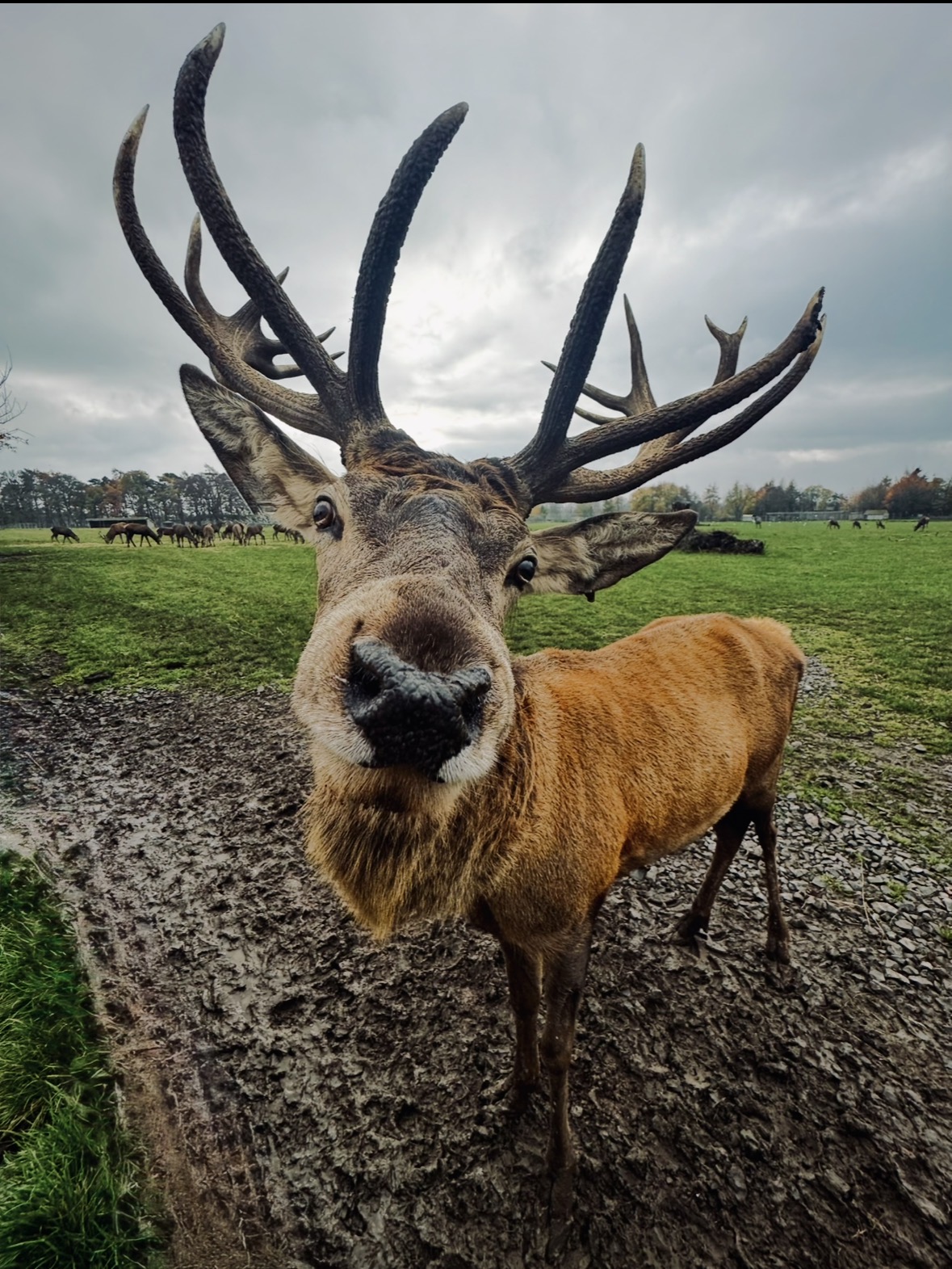 Image: Scratch my nose