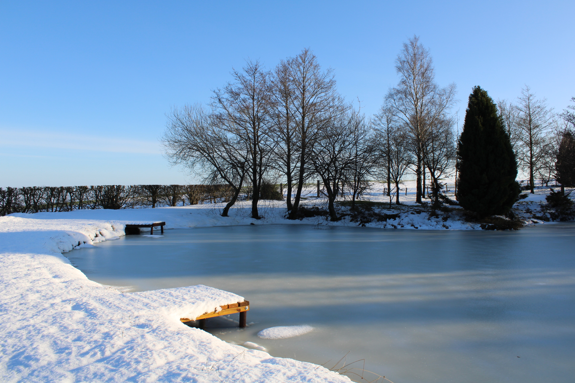 Image: Shropshire Snow Globe  