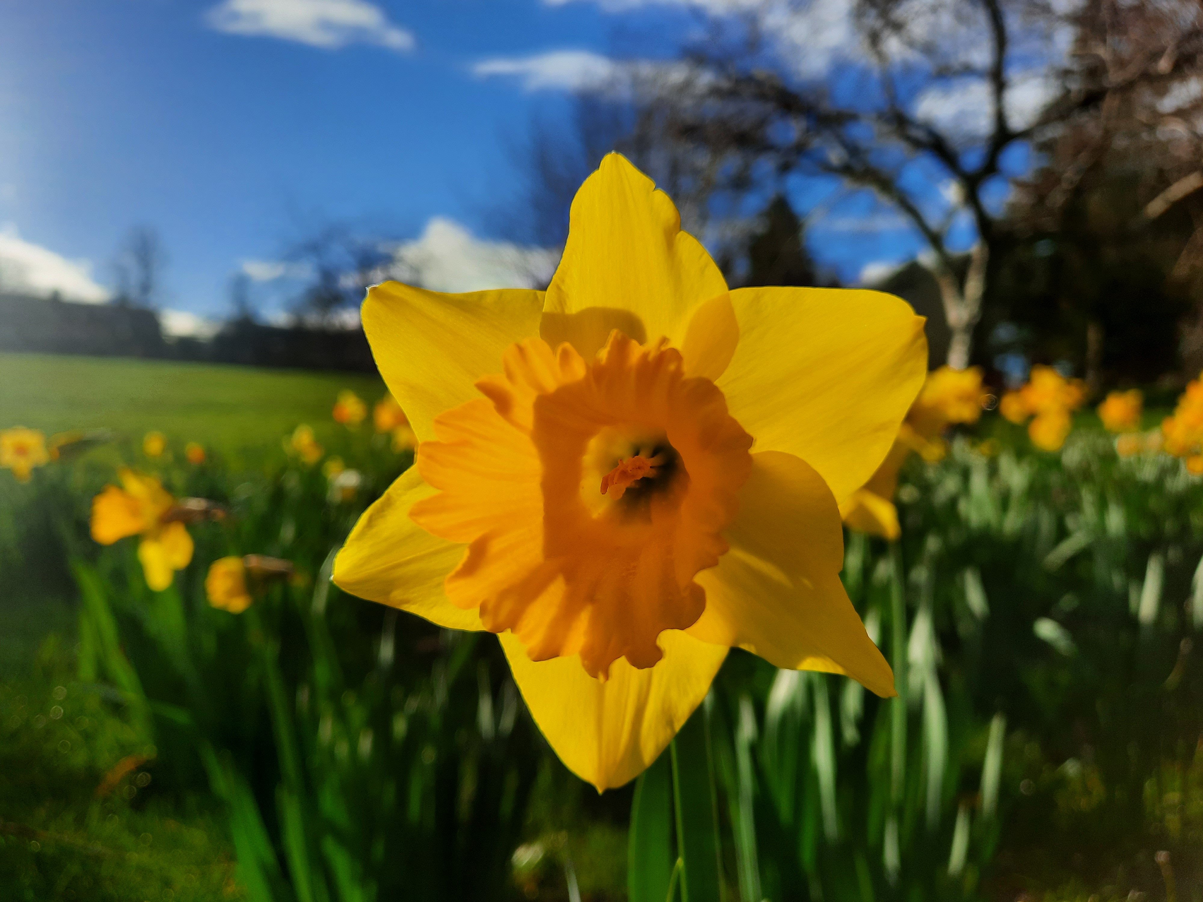 Image: Signs of Spring
