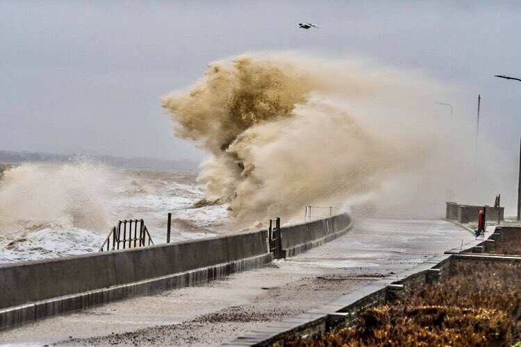 Image: Storm lion ( can you see the face )