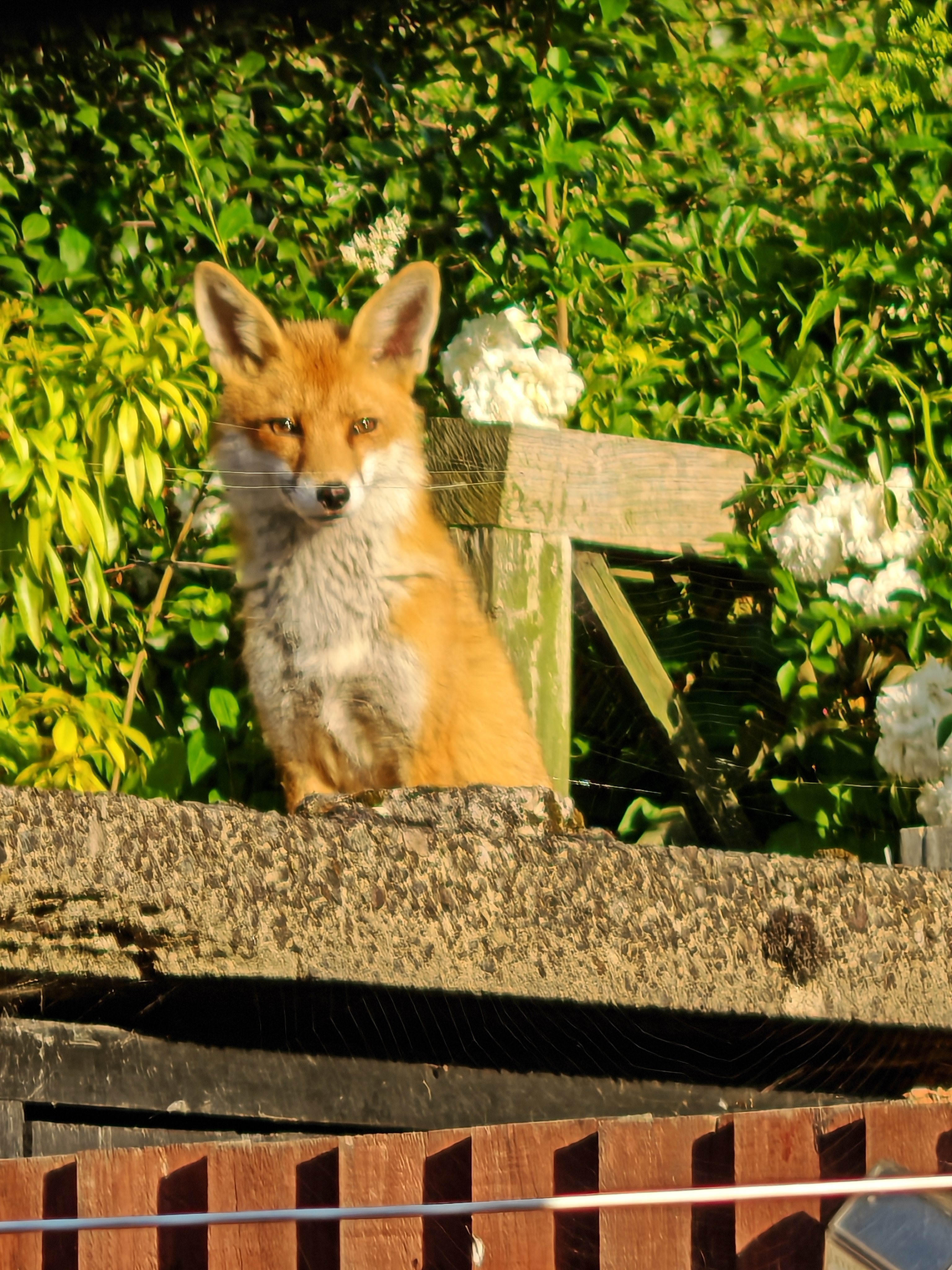 Image: Sunday morning chill