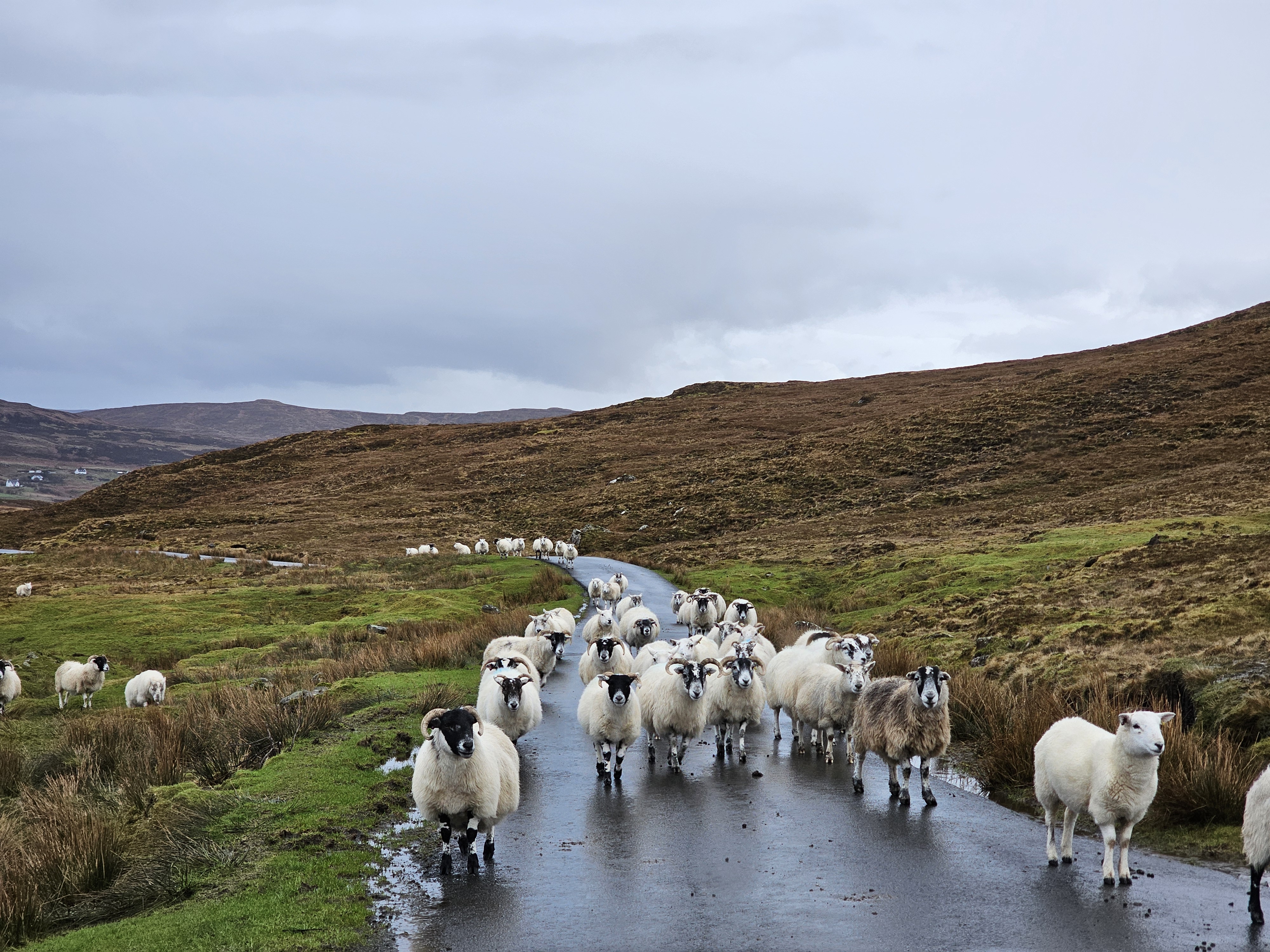 Image: Traffic jam