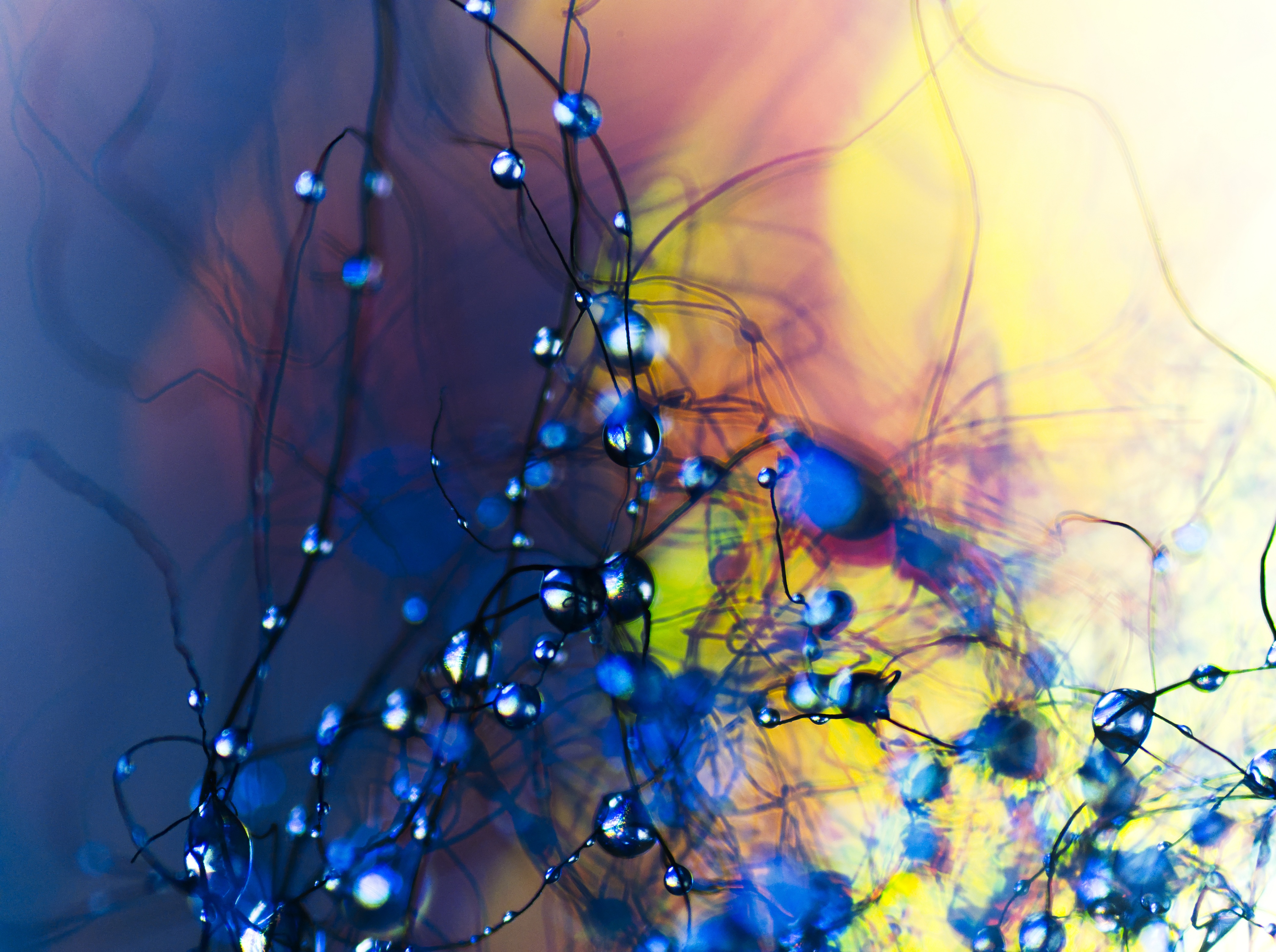 Image: Water Droplets 