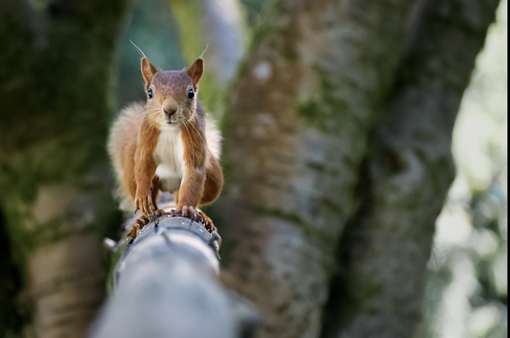 Image: Were you coming this way