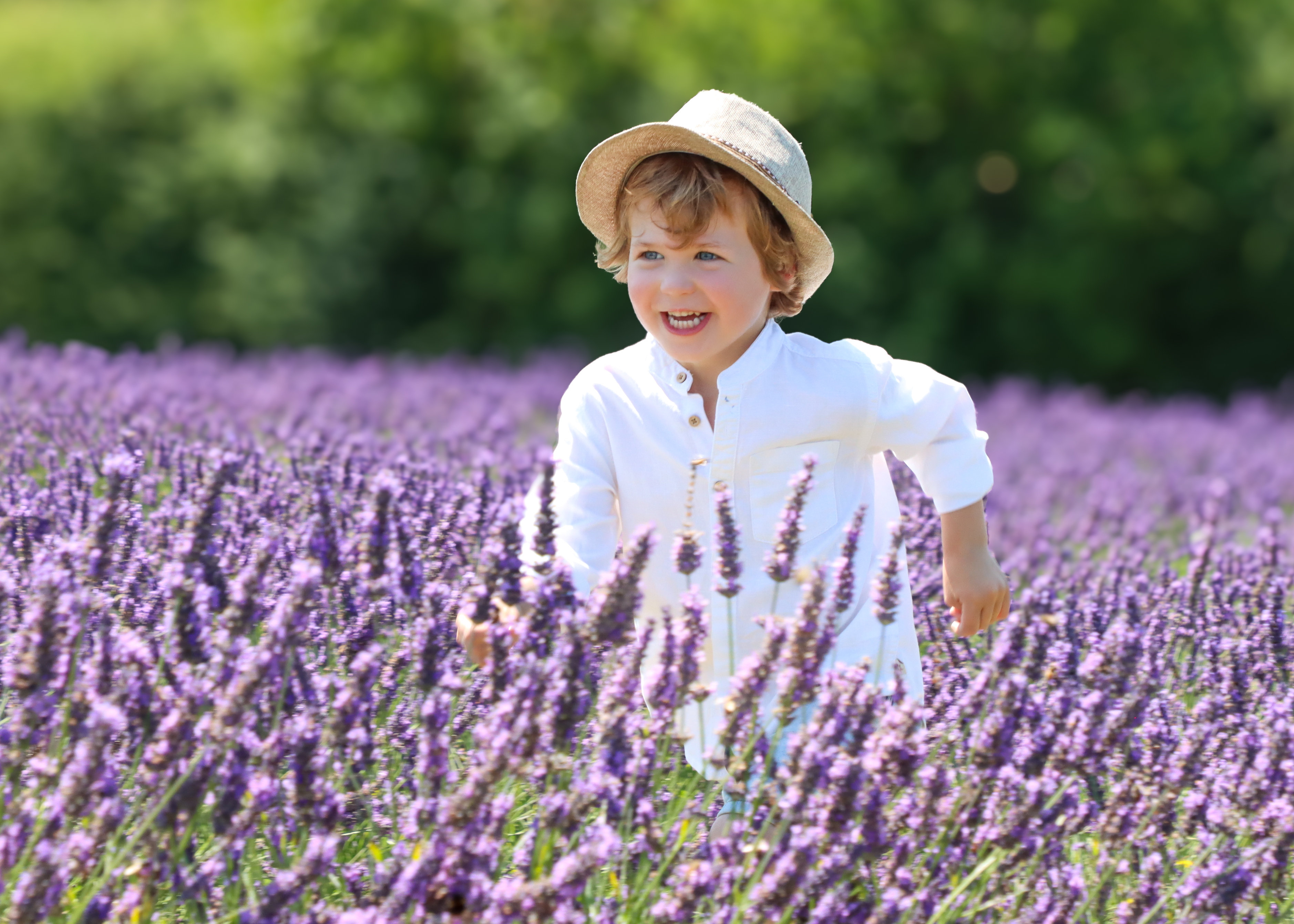 Image: Where Happiness Blooms
