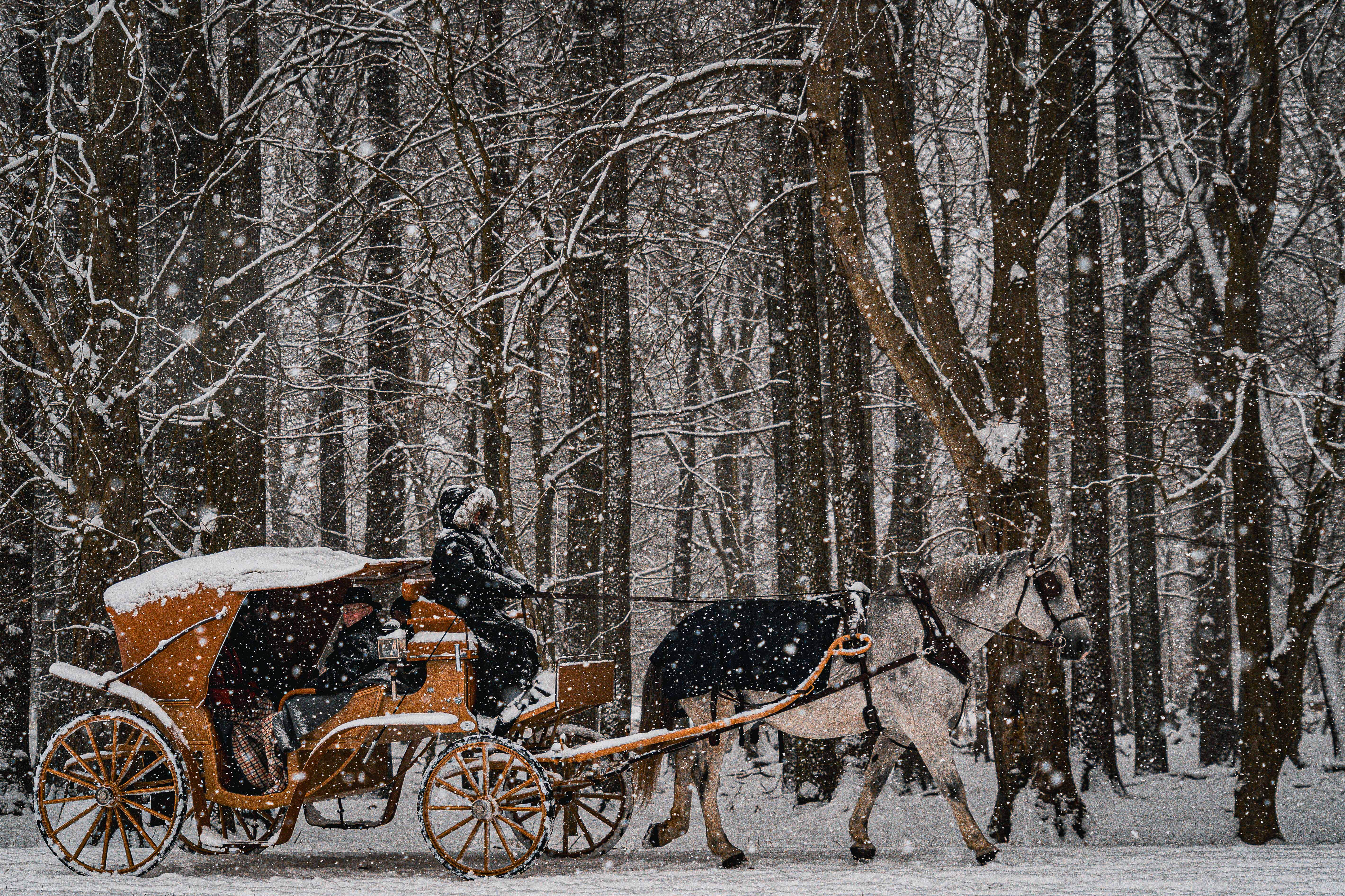 Image: Winter Ride