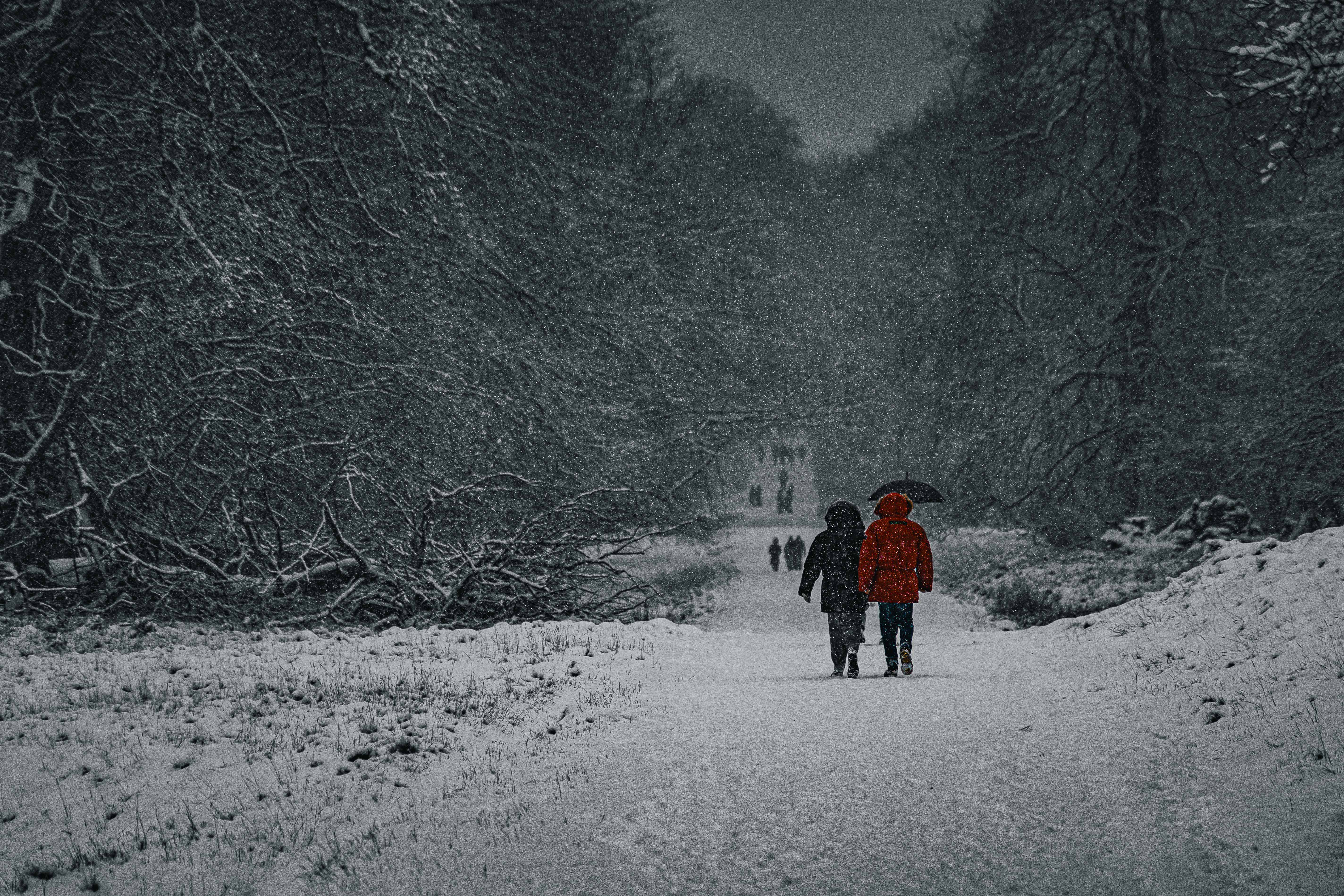 Image: Winter Walk