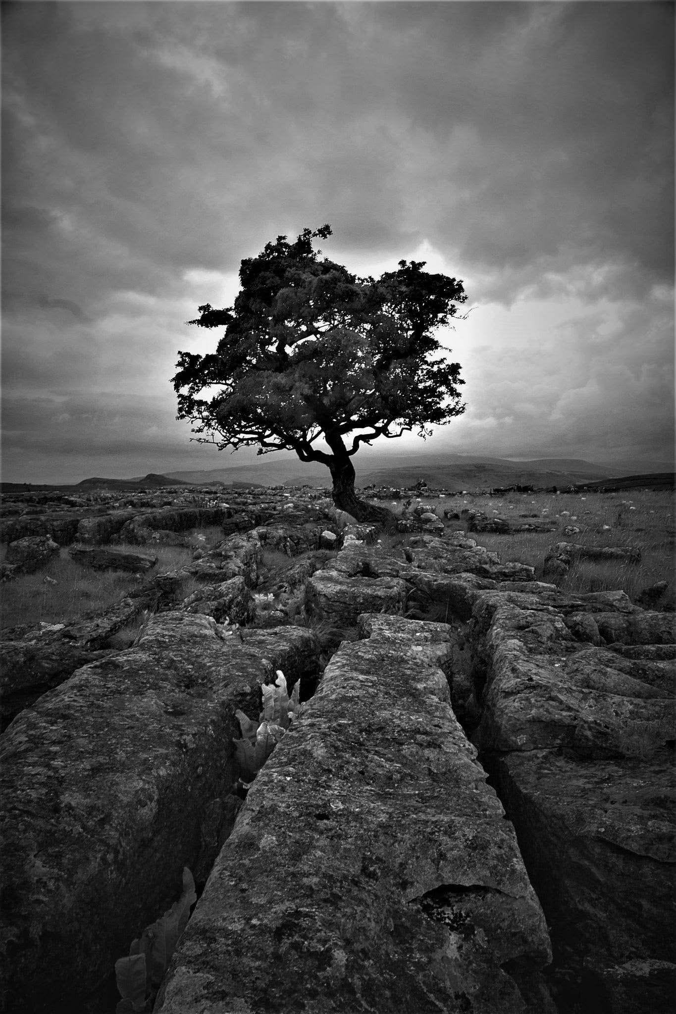 Image: Yorkshire 